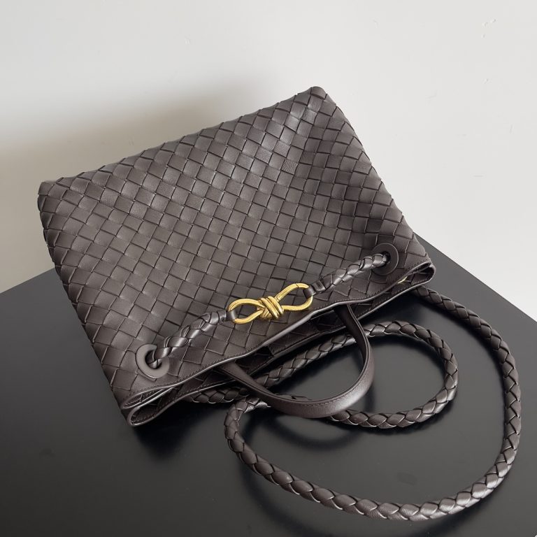 Bottega Veneta Andiamo Bag photo review