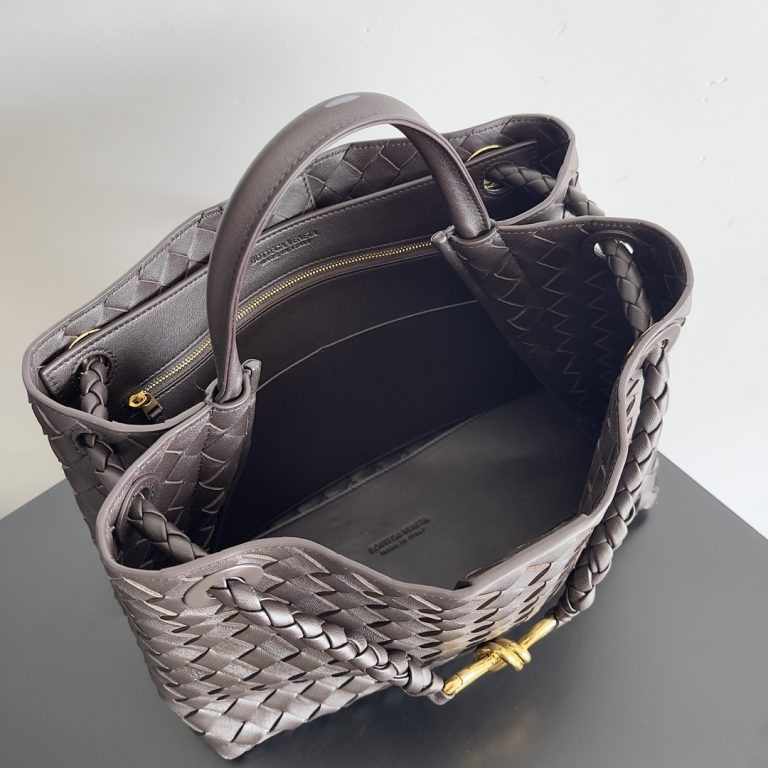 Bottega Veneta Andiamo Bag photo review