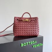 Bottega Veneta Andiamo Small Bag