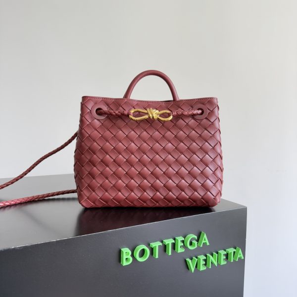 Bottega Veneta Andiamo Small Bag
