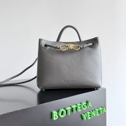 Bottega Veneta Andiamo Small Bag
