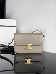 Celine Teen Triomphe Medium Bag In Shiny Calfskin