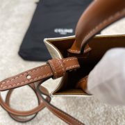 Mini Vertical Cabas In Triomphe Canvas With Celine Print - Image 9