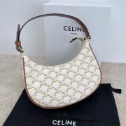 Ava Bag In Triomphe Canvas And Calfskin