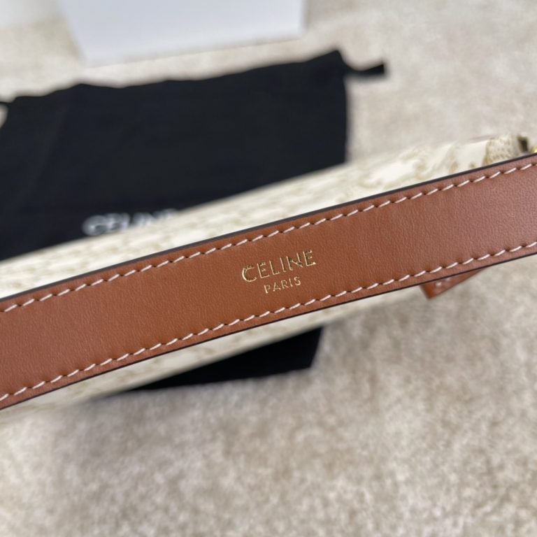 Ava Bag In Triomphe Canvas And Calfskin photo review