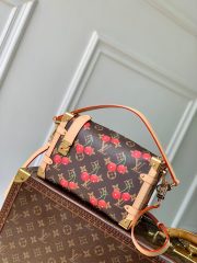LV x TM Side Trunk MM