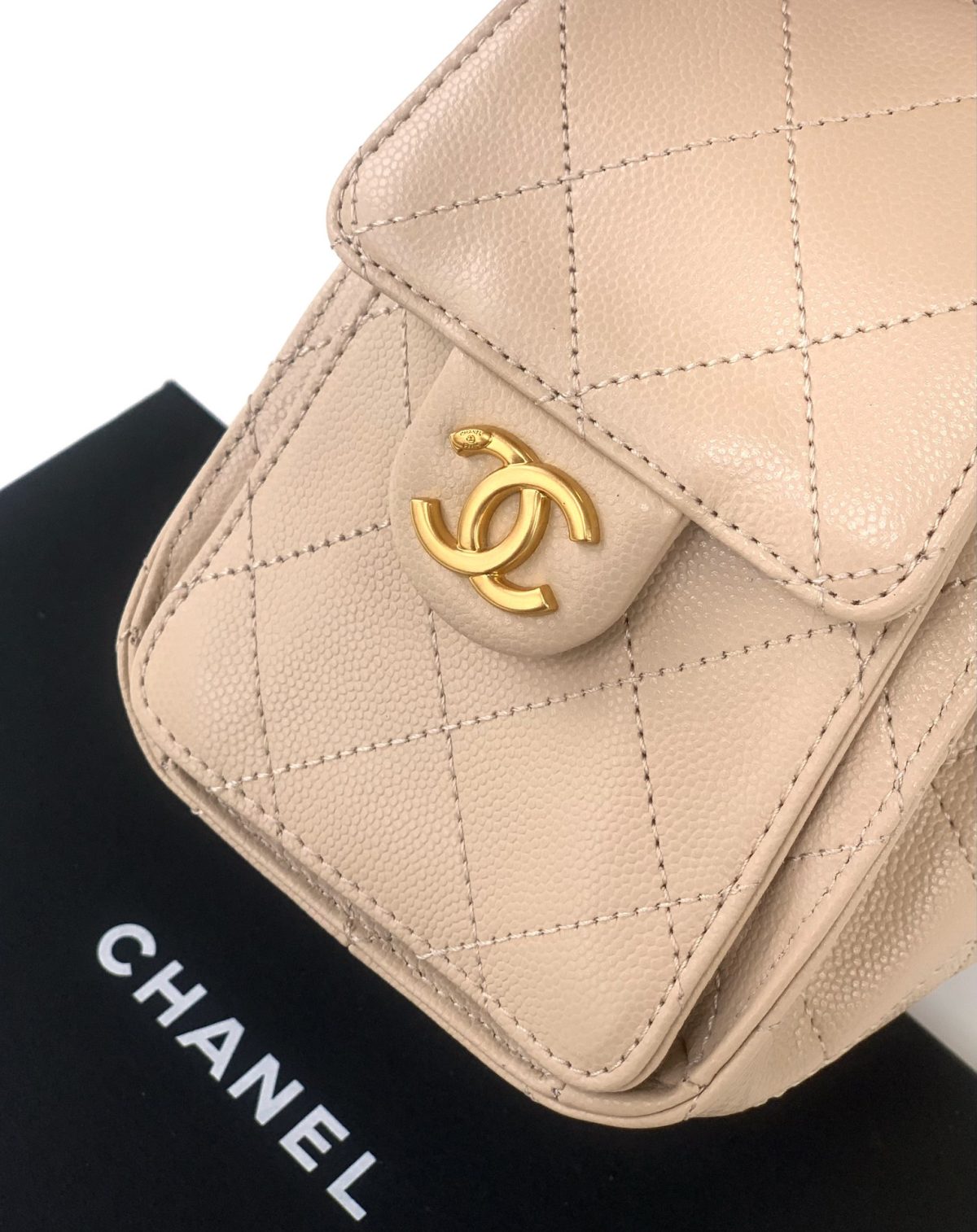 Chanel Small Hobo Bag - Image 7