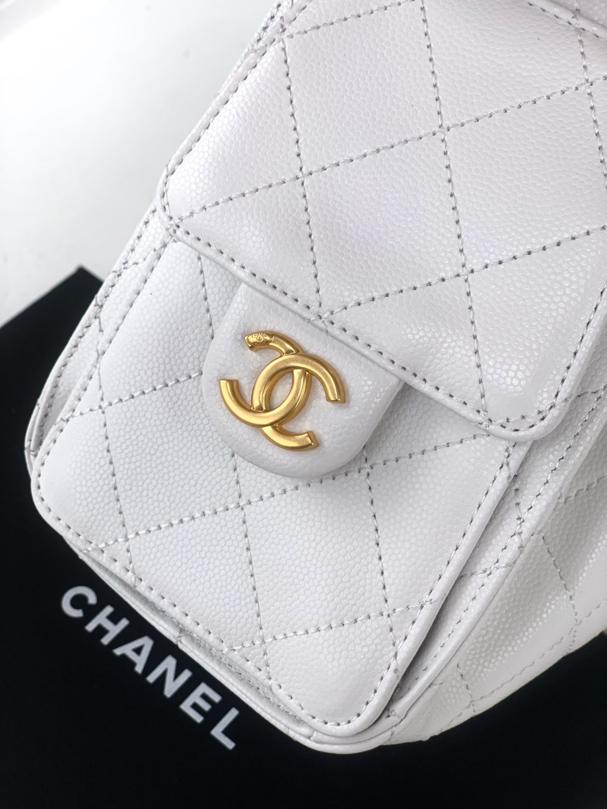 Chanel Small Hobo Bag - Image 6