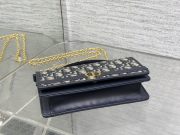 Dior 30 Montaigne Cigale Chain Bag - Image 7