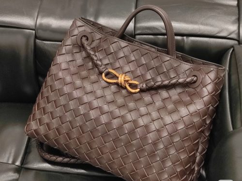 Bottega Veneta Andiamo Bag photo review