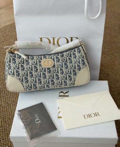 Dior 30 Montaigne Wanderlust Mini Bag photo review