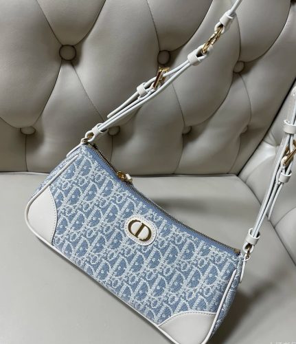 Dior 30 Montaigne Wanderlust Mini Bag photo review