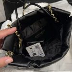 Chanel Mini 22bag photo review