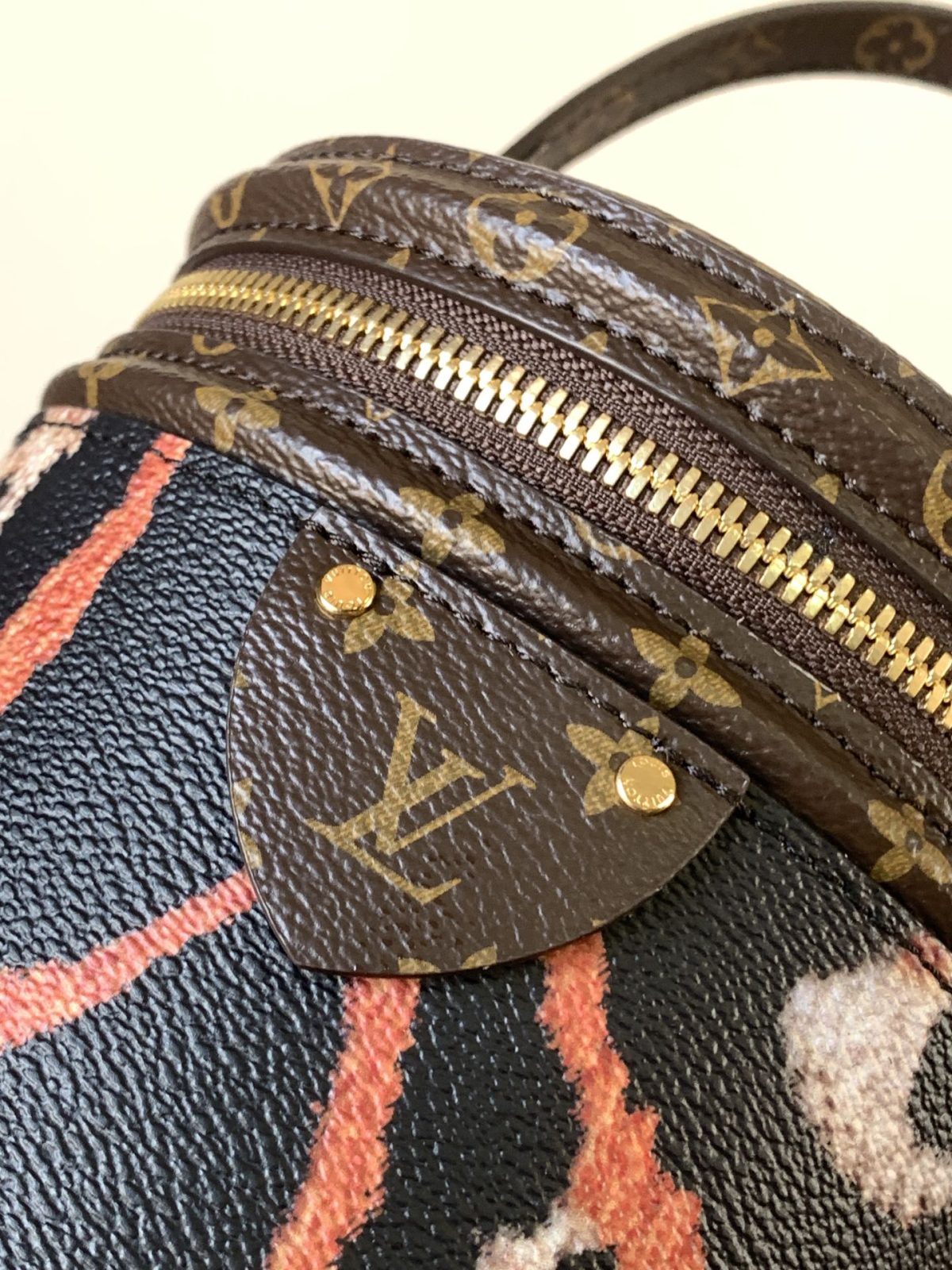 LV Cannes Bucket Bag - Image 6